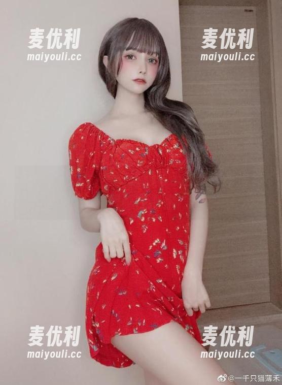 每一个角度，一千只猫薄禾的长腿高清套图都在撩你-麦优利