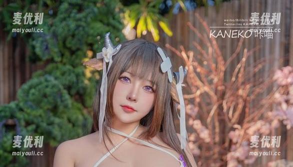 镇海的浪花与咔喵KANEKO白旗袍，资源大揭秘！-麦优利