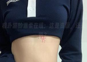 微密圈 - 相扑猫的温柔在线：这是资源，还是梦中的呢喃？
